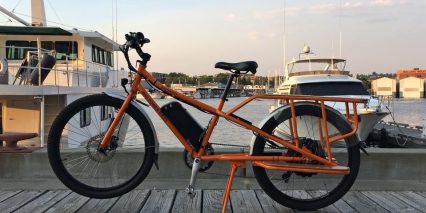 Rad Power Bikes Radwagon