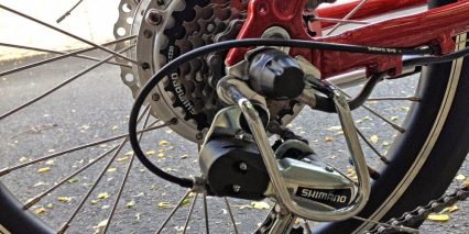 Big Cat Hampton Derailleur Protector