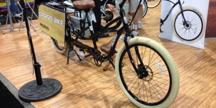 Pedego Cargo Bike Setup