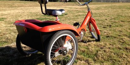 Rear Wheels Pedego Trike