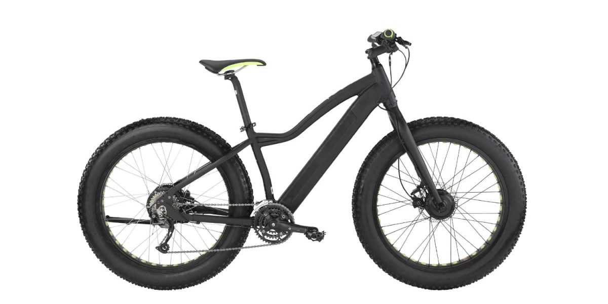 Easy Motion Big Bud Pro Electric Bike Review