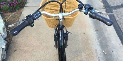 Watseka Xp Swept Back Handle Bars