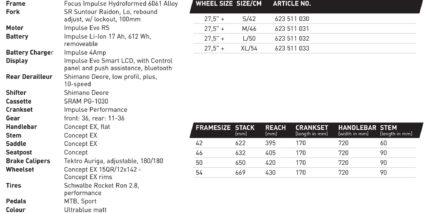 Focus Jarifa Fat Stats Geometry Measurements