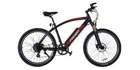 Freway Buffalo Electric Bike Review