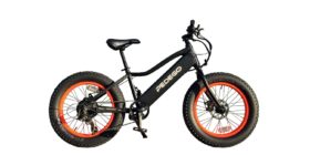 Pedego 20 Trail Tracker Electric Bike Review