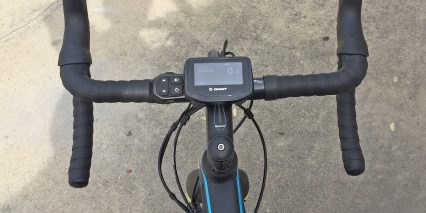 Giant Road E Plus 1 Fixed Backlit Lcd Display