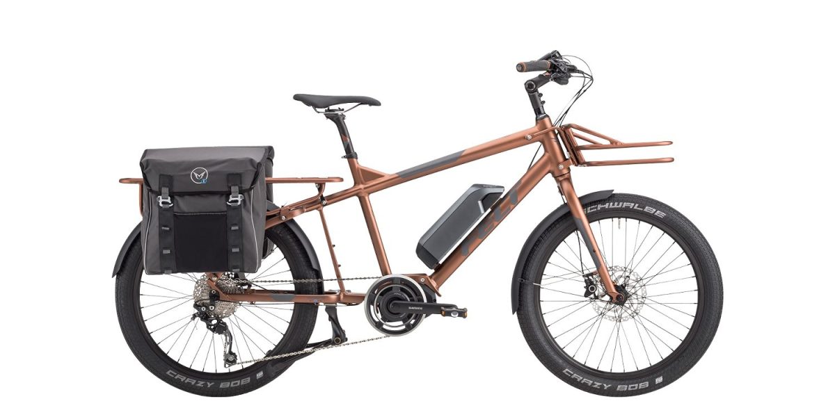 Felt Totem Electric Bike Review