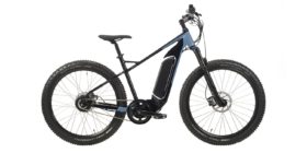 Evelo Delta Electric Bike Review