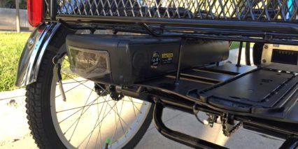 Raleigh Tristar Ie Rack Mounted 48 Volt Removable Battery Pack