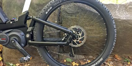 Riese Muller Delite Mountain Rear Suspension Swing Arm Schwalbe Nobby Nic Tires