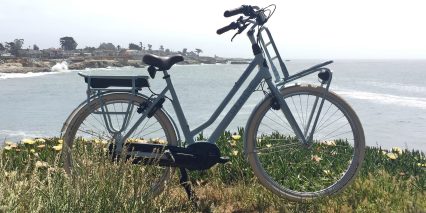 Gazelle Nl C8 Hmb Electric Bicycle