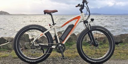 2019 Rad Power Bikes Radrover.jpg