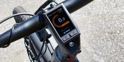 2019 Raleigh Redux Ie Bosch Kiox Display