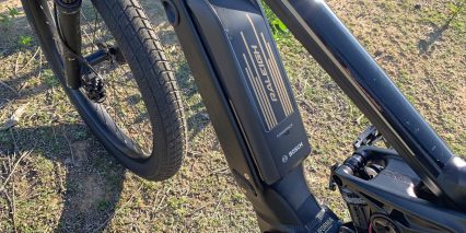 Raleigh Lore Ds Ie Bosch Powerpack 500