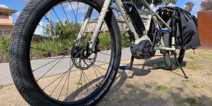 Surly Big Easy Rigid Front Fork With Bosses Angle View