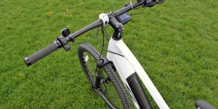 2019 Flx Trail Display Controls Flat Grips