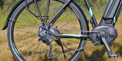 Gepedia Fastida Xt 10 Schwalbe Ebike Tries Rear Rack Fender