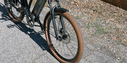 Magnum Low Rider Front Suspension Fork Fenders