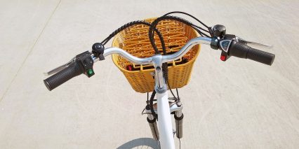 Nakto Camel Cockpit View