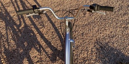 Electra Townie Go 7d Riser Bars