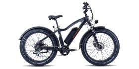 Eu Rad Power Bikes Radrhino 5 Electric Bike Review