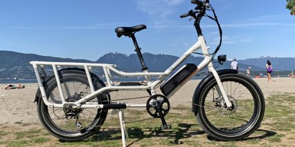 Rad Power Bikes Radwagon 4