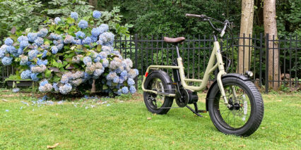 Benno Remidemi 9d Ebike