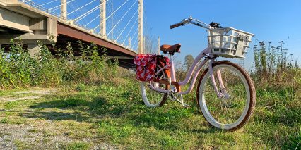 2020 Electric Bike Company Model Y Ebike